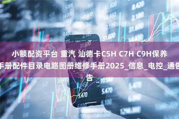 小额配资平台 重汽 汕德卡C5H C7H C9H保养手册配件目录电路图册维修手册2025_信息_电控_通告