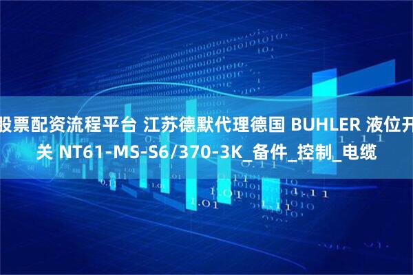 股票配资流程平台 江苏德默代理德国 BUHLER 液位开关 NT61-MS-S6/370-3K_备件_控制_电缆
